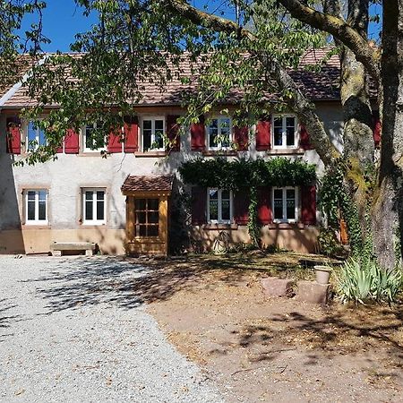Le Jardin Des Gouttes Bed & Breakfast Rougegoutte Exterior photo