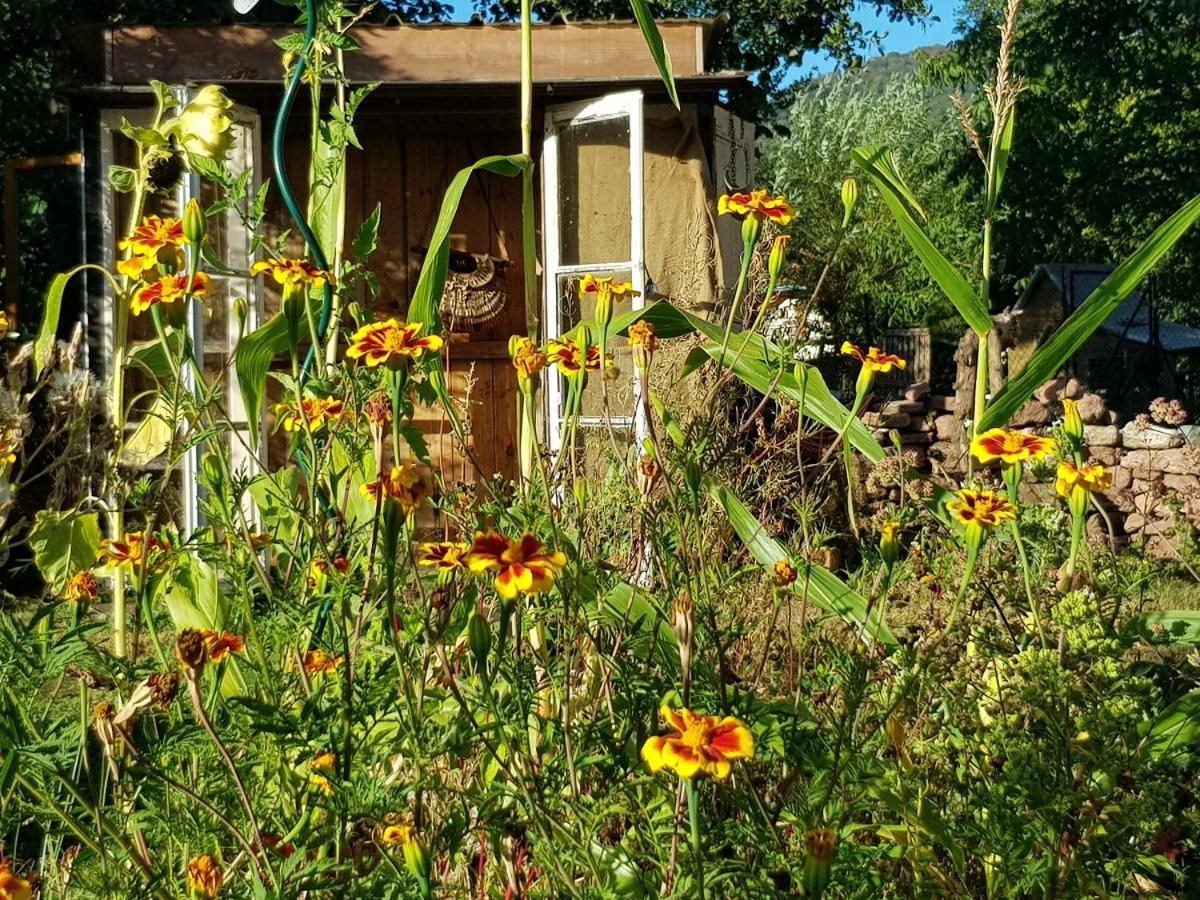 Le Jardin Des Gouttes Bed & Breakfast Rougegoutte Exterior photo
